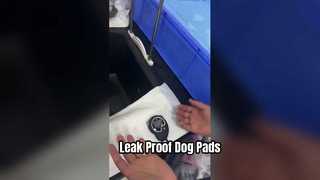 Quick-Drying Leak-Proof Disposable Dog Bed Cover and Pet Pads for All-Day Protection Showcase