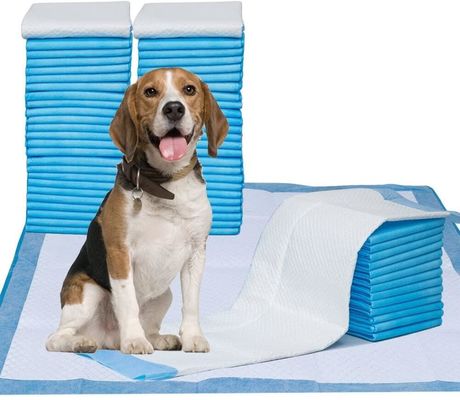comprar Pad de Treinamento para Animais de Criança de 5 Plásticos com Material SAP Super Absorvente, Apoio PE à prova de vazamento e Superfície Seca Rápida para cães e gatos fabricação em linha