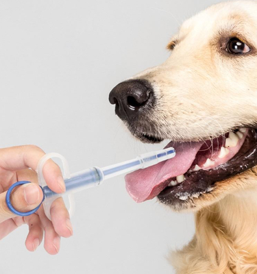 comprar Tubo de alimentação Cão de estimação Cachorro gato Pílula Arma Medicina Seringa Kit de alimentação Plástico durável fabricação em linha