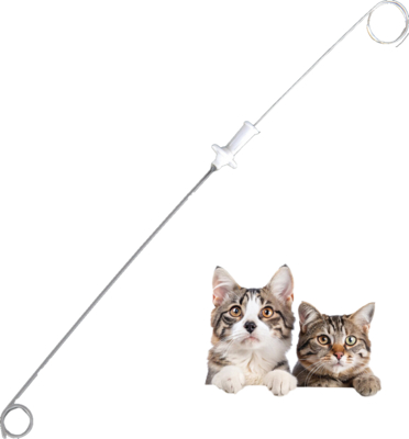 comprar Sutião médica absorvível, cateter de stent urinário animal, com placa de sutura de fio-guia, adequado para cães, gatos 3Fr 4Fr, veterinário renal, renal, material PU fabricação em linha