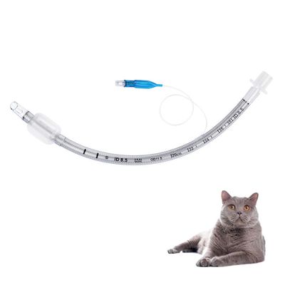 comprar Tubo Endotraqueal Veterinário Reforçado de PVC de Grau Médico com Balão em Forma de Oliva Cateter de Anestesia Transparente para Hospitais de Animais fabricação em linha