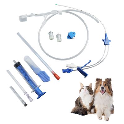 comprar Kit veterinário de cateter central venoso de classe II com prazo de validade de 1 ano e materiais biocompativeis fabricação em linha