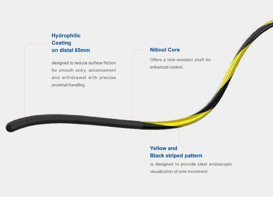 comprar Fio-guia com núcleo de nitinol Zebra – Precisão, flexibilidade e durabilidade para procedimentos intervencionistas avançados fabricação em linha