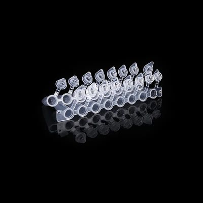 Bom preço A abóbada deu forma à tira do tubo 8 do PCR dos tampões 0.2ml com a tubulação conectada unida do PCR oito do tampão on-line