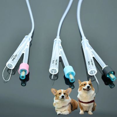 Bom preço Cateteres Urinários Veterinários para Cães – Material PVC/Silicone de Alta Qualidade, Soluções Duráveis para Cuidados com Animais de Estimação on-line