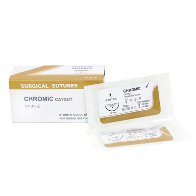 Bom preço Suturas Cirúrgicas Descartáveis de Catgut Simples para Hospital com Agulha PGA/pdo/seda/nylon/catgut Suturas Cirúrgicas Estéreis on-line