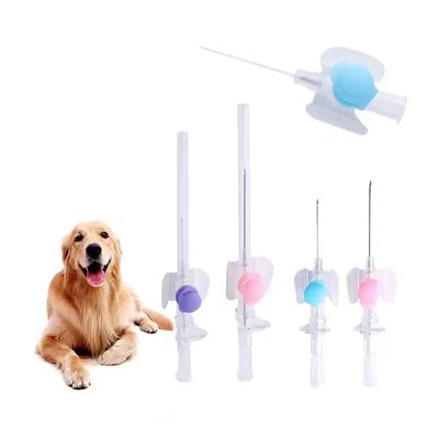 Bom preço Certificado ISO Cânula IV Descartável Agulha de Injeção Intravenosa Cateter Veterinário Cateter Borboleta Cânula IV on-line