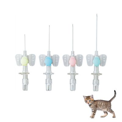 Bom preço Cateter IV intravenoso de tipo borboleta para uso medicinal Disponível Cánula intravenosa com tampa de heparina para tratamento de perfusão animal on-line