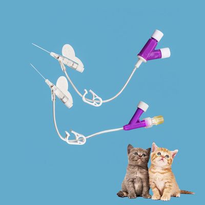 Bom preço Cateter Intravenoso de PVC Aço Inoxidável para Cães e Gatos Tipo Y Melhor Fixação Multi Tamanho 14g 16g 18g 20g 22g 24g 26g on-line
