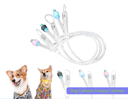 Bom preço Animais Medicina Hidrofílica veterinária Revestimento de silicone Super-lubricidade 2 Way Cateter puro de silicone Foley Cirurgia urinária para cães on-line
