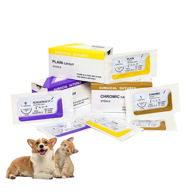 Bom preço Suturas Cirúrgicas Descartáveis de Catgut Simples para Hospital com Agulha PGA/pdo/seda/nylon/catgut Suturas Cirúrgicas Estéreis on-line