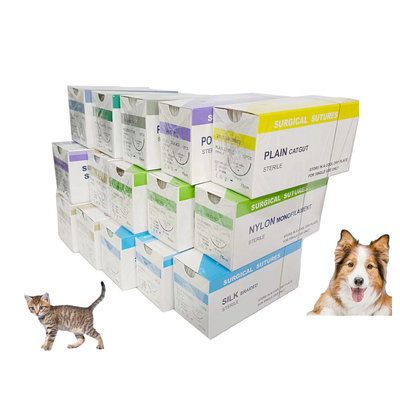 Bom preço Hospital Veterinário de Animais DOP Cromic Catgut Silk Nylon PGA 910 75cm suturas cirúrgicas com agulha estéril Cão gato animal de estimação on-line