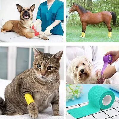Bom preço Faixa Elástica Veterinária de Grau Médico Não Estéril Classe I Autoadesiva Flexível para Cuidados de Feridas e Suporte Articular de Cães e Gatos on-line