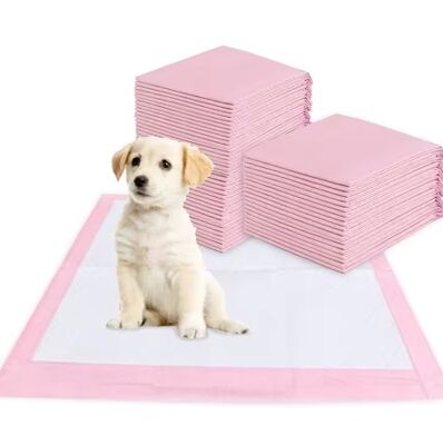 Bom preço Acessórios para animais de estimação descartáveis super absorventes, de secagem rápida e à prova de vazamento, para treinamento de cachorros e uso em ambientes internos on-line
